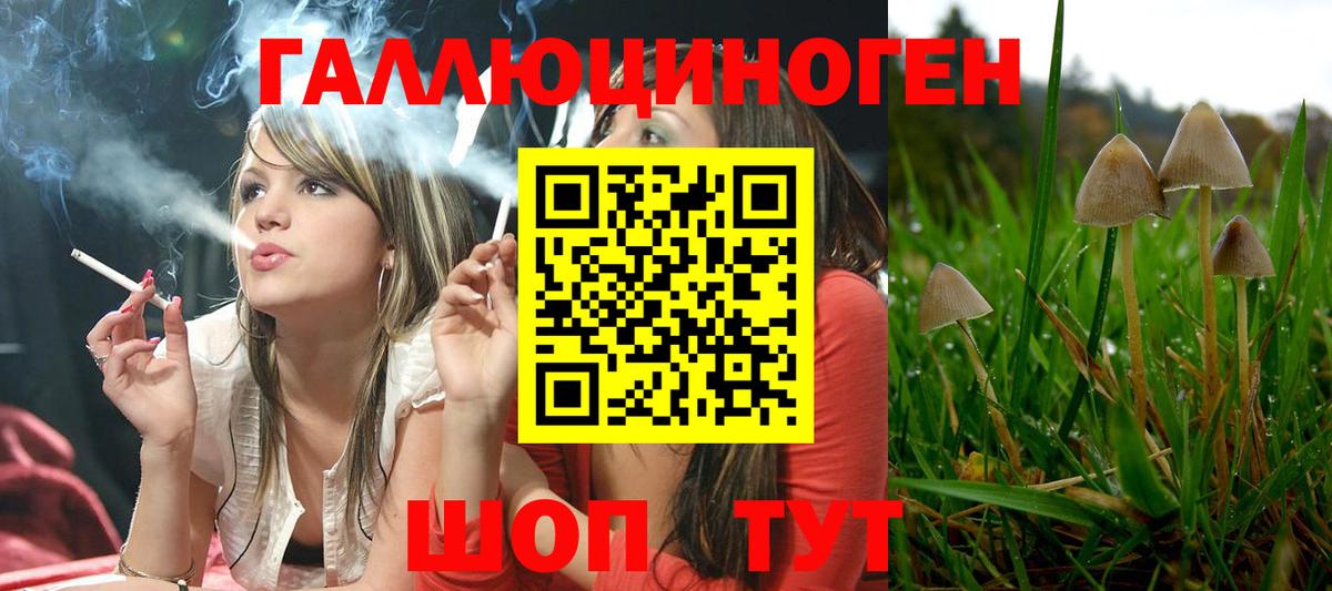 Псилоцибиновые грибы мицелий  Вход с VPN  Анапа 